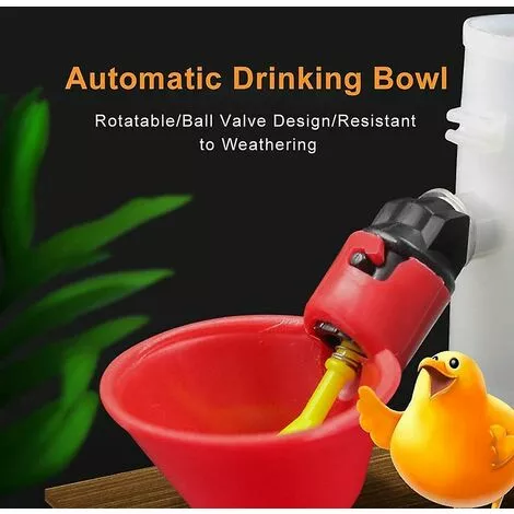 ZHUOXUAN Abreuvoir De Volaille 5 Pièces, Abreuvoir De Poulet, Abreuvoir De Poulet Automatique 4 ZHUOXUAN Abreuvoir De Volaille 5 Pièces, Abreuvoir De Poulet, Abreuvoir De Poulet Automatique – Image 4