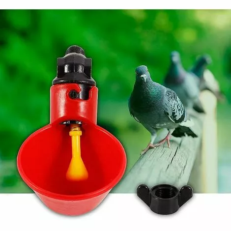 ZHUOXUAN Abreuvoir De Volaille 5 Pièces, Abreuvoir De Poulet, Abreuvoir De Poulet Automatique 5 ZHUOXUAN Abreuvoir De Volaille 5 Pièces, Abreuvoir De Poulet, Abreuvoir De Poulet Automatique – Image 5