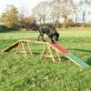 TRIXIE Passerelle Fun Agility, 456 × 64 × 30 Cm