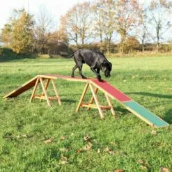 TRIXIE Passerelle Fun Agility, 456 × 64 × 30 Cm