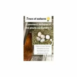 ZOLUX Oeuf Poule Factice A L Unite -Poulailler et élevage de la basse-cour Soldes Magasin 7001280 3