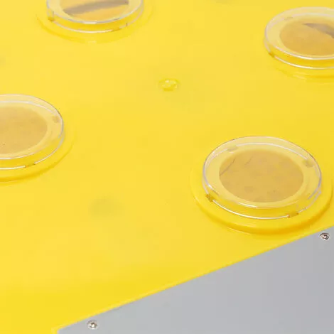 WILTEC Couveuse Automatique 48 Oeufs Appareil à Couver Incubateur 4 Fenêtres De Surveillance 4 WILTEC Couveuse Automatique 48 Oeufs Appareil à Couver Incubateur 4 Fenêtres De Surveillance – Image 4