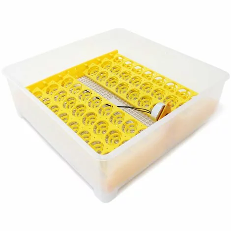 WILTEC Couveuse Automatique 48 Oeufs Appareil à Couver Incubateur 4 Fenêtres De Surveillance 5 WILTEC Couveuse Automatique 48 Oeufs Appareil à Couver Incubateur 4 Fenêtres De Surveillance – Image 5